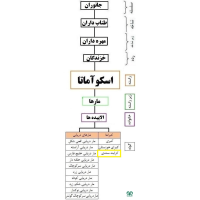 گونه مار کرایت سندی Bungarus sindanus